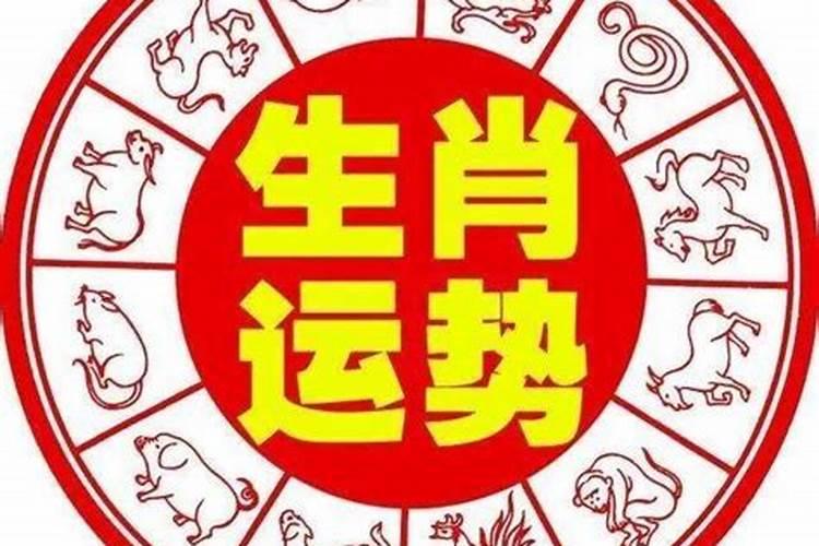 90年的马在2022年的财运如何