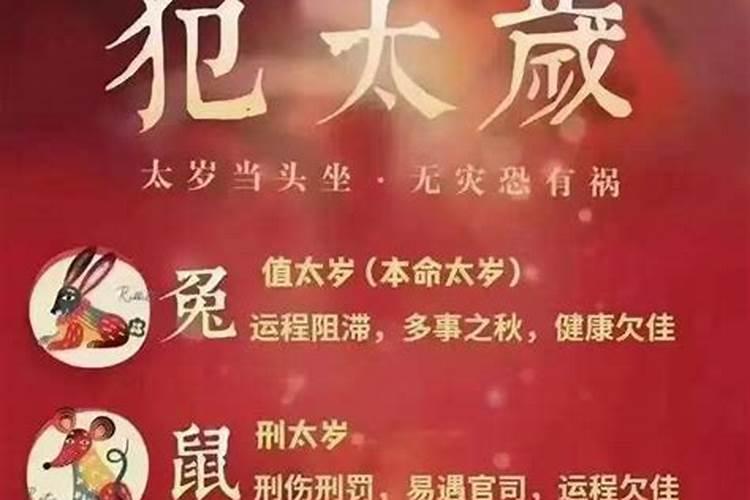 八字命宫解析申宫什么意思