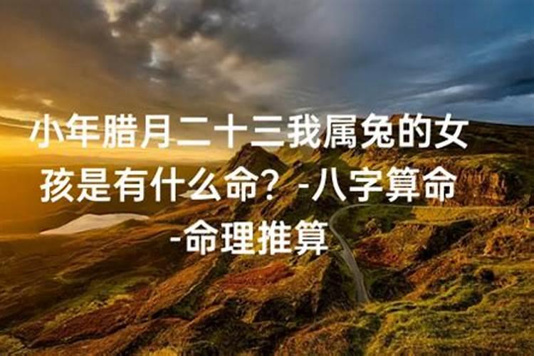 属兔腊月出生的命运怎么样？