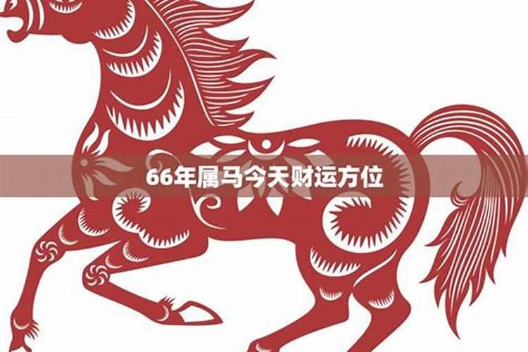 66年的马2021年财运方向