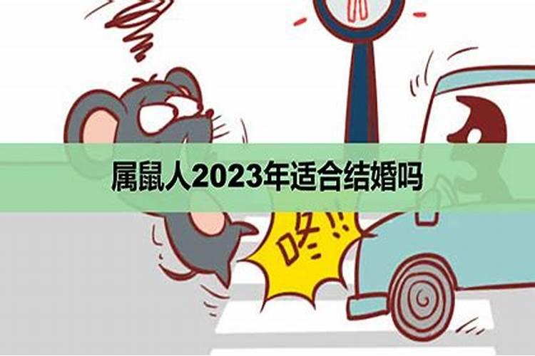 属鼠人2020年适合创业吗？？