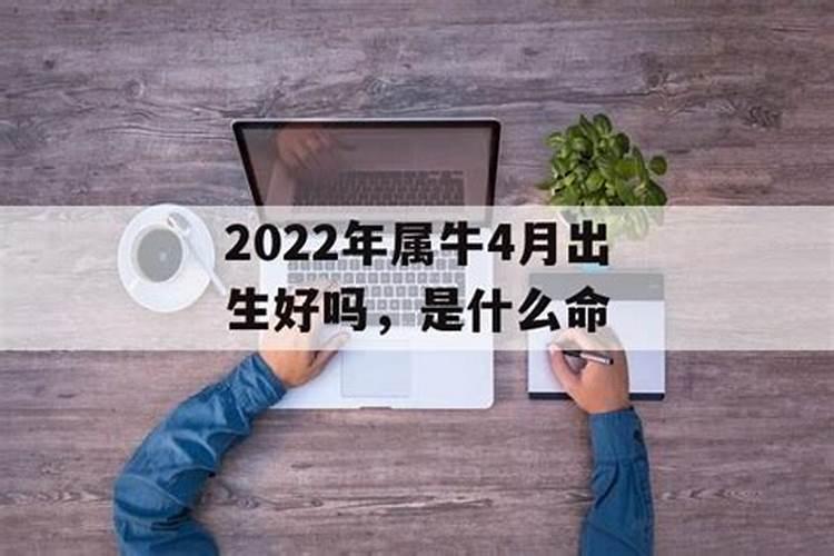 2022年属蛇害太岁是什么意思啊