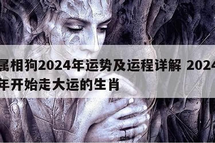 属虎的2021年多大虚岁