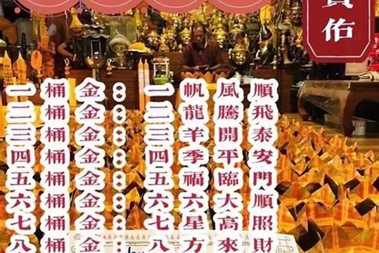 1962年虎在2024年运势