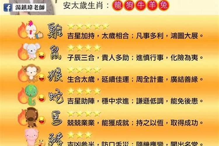 属蛇2024明年刑太岁