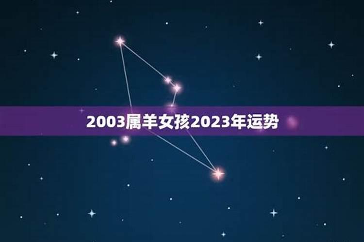 2003年属羊女孩的命运