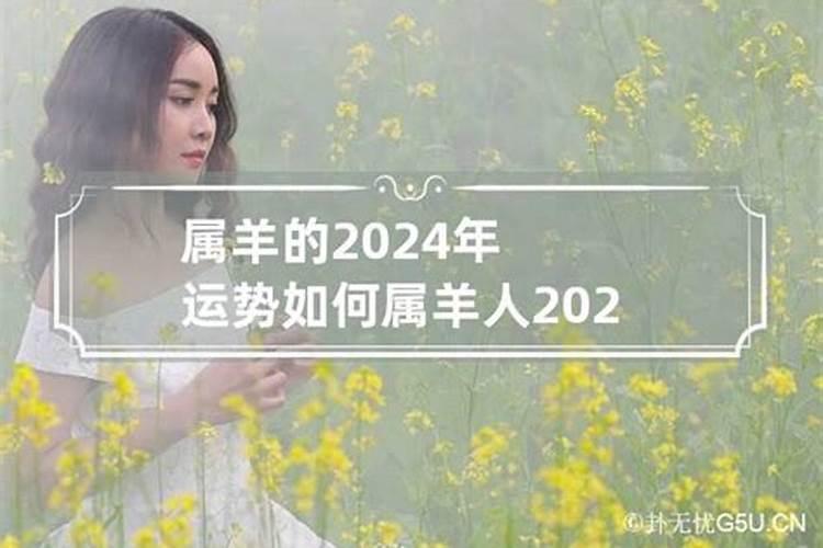 1972年鼠女2024年运程如何