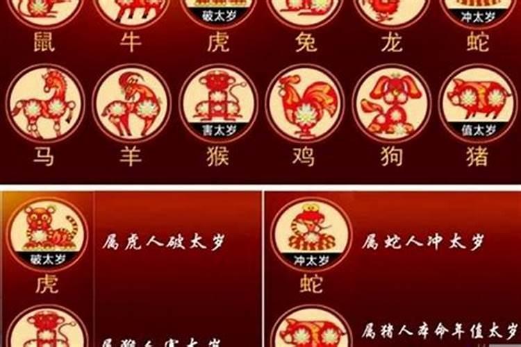 冲太岁化解家里当什么