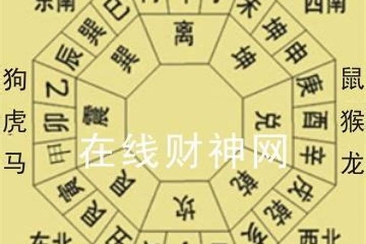 一字千金指什么生肖