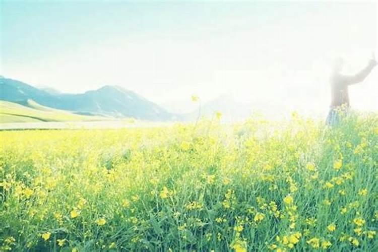 清明节时间是哪一天几月几日