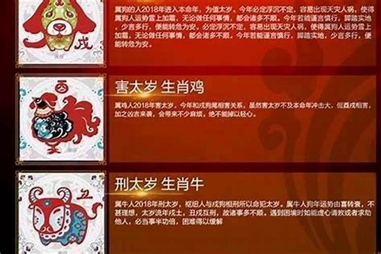 属猴今年是害太岁还是兔年