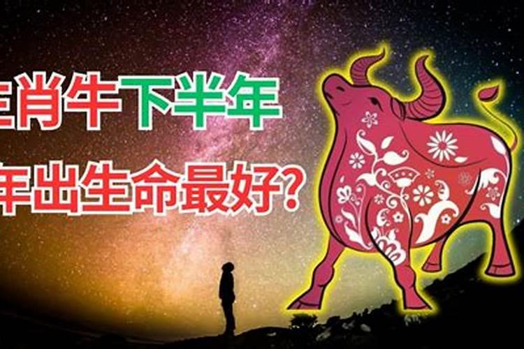 清明节破坏祖坟案例分享