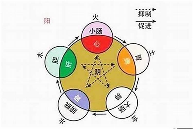 1966年出生的2021年的运气怎么样