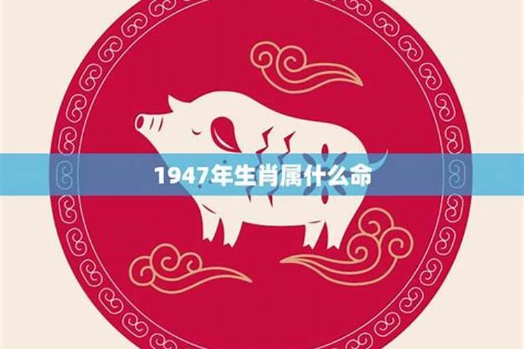 1947年出生的人属什么