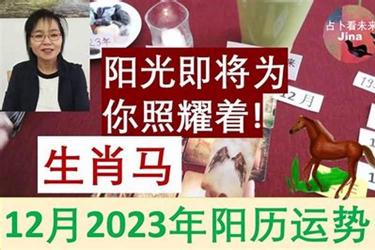 属蛇的婚姻咋样今年运势