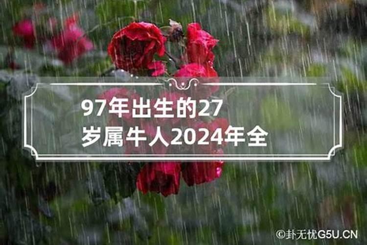 86年属龙的人2024年的运势及运程