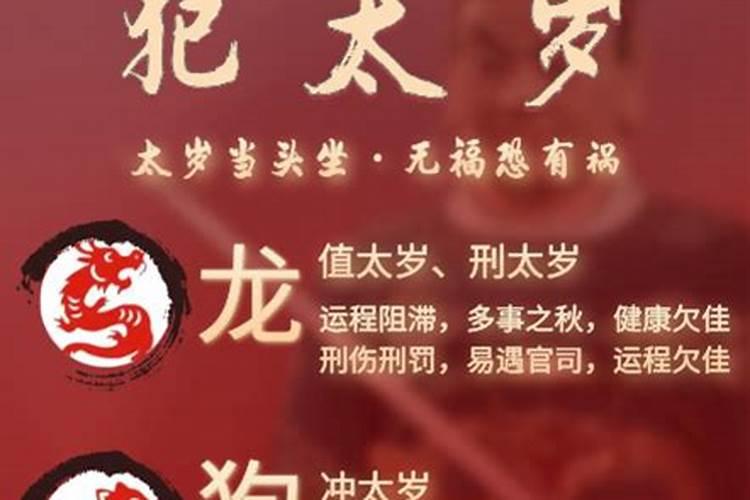 梦见买甘蔗是什么意思,好不好,代表什么意思