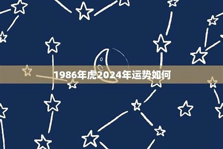 属兔在2024年的运程