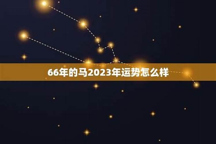 1969年出生的人2024年运势