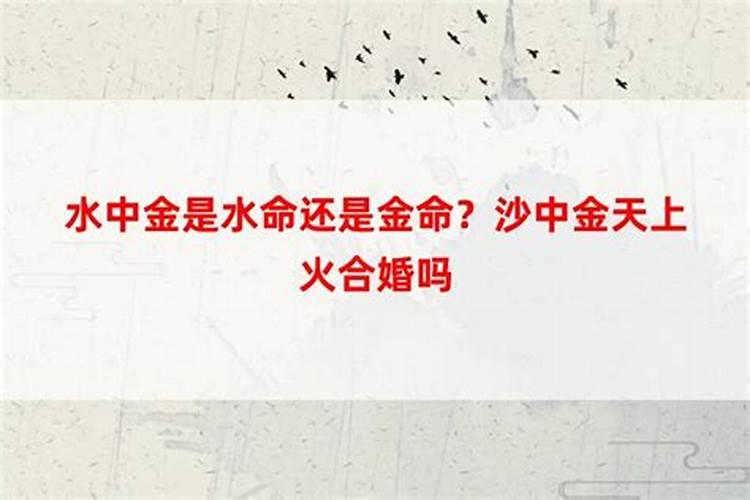 35岁的属相是什么