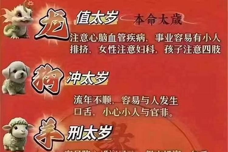 做梦梦见很多蛇是什么征兆特别怕