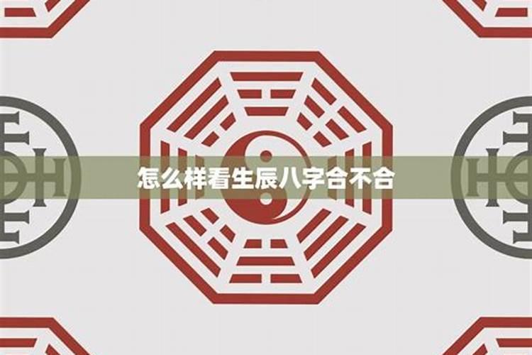 怎么和生辰八字合不合