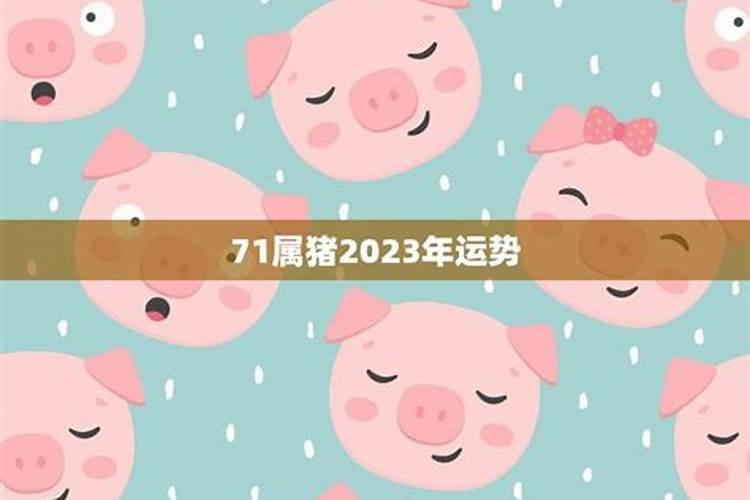 星译社2024年运势合集