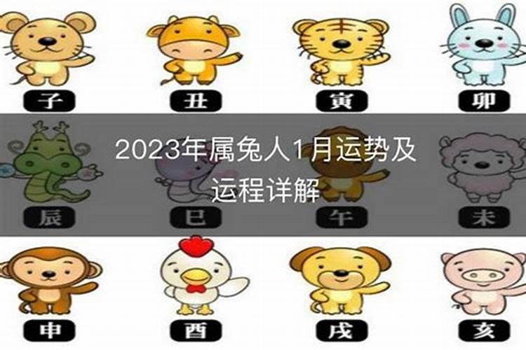 非常运势2023年运势