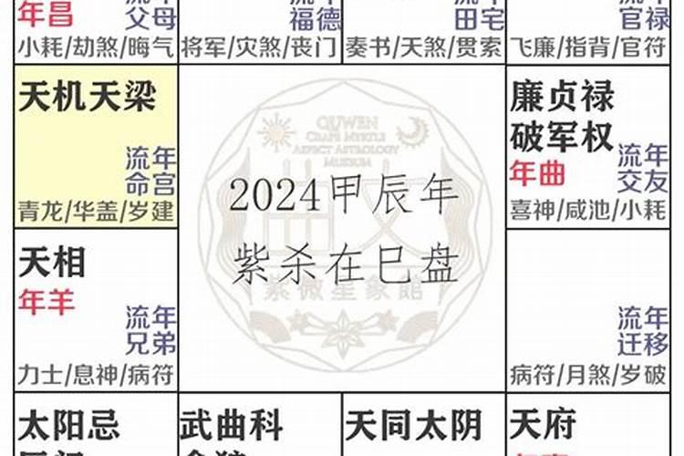 虎人2024年下半年运势