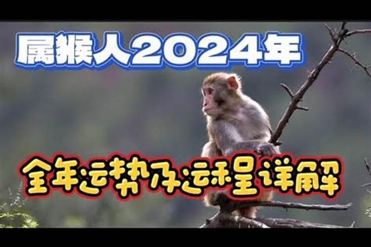 2023年猪的本命年犯太岁吗