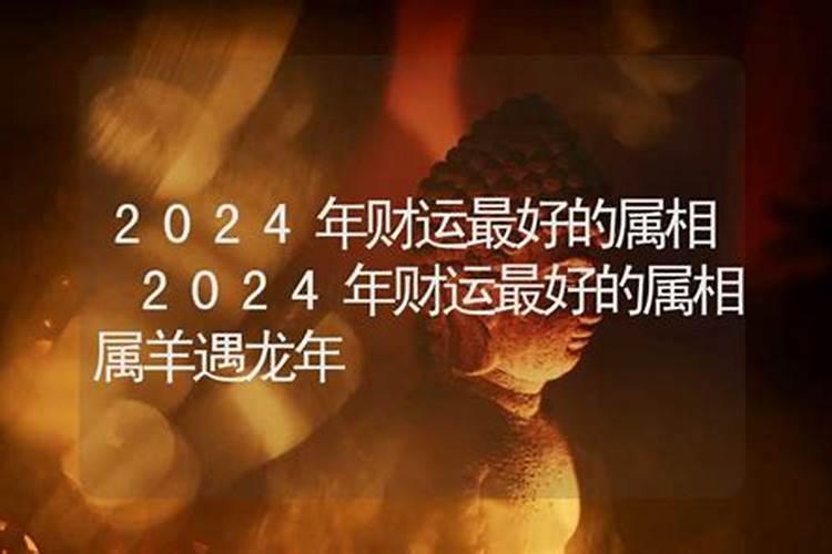 2024狗宝宝运势如何