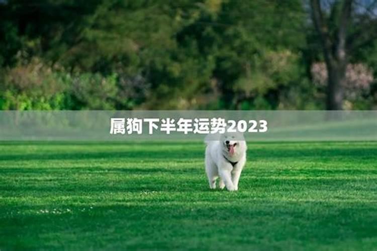 2023清明节祭拜先烈