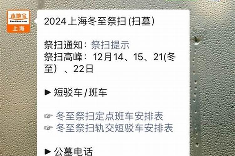 2023上海冬至祭扫