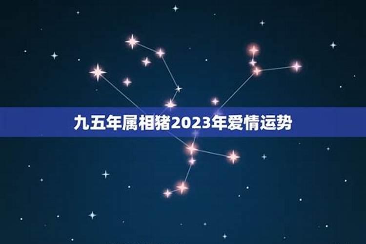 2022年属虎命里缺什么