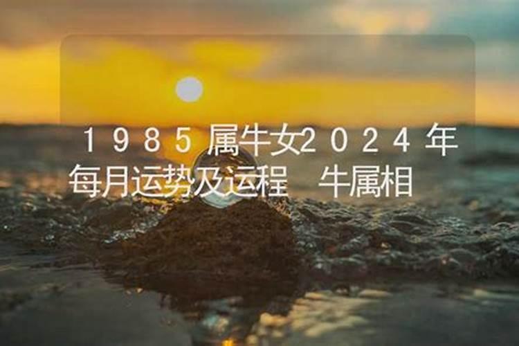 82年的狗最佳配偶属相是什么