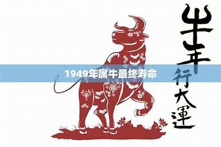 1950年属什么生肖运势