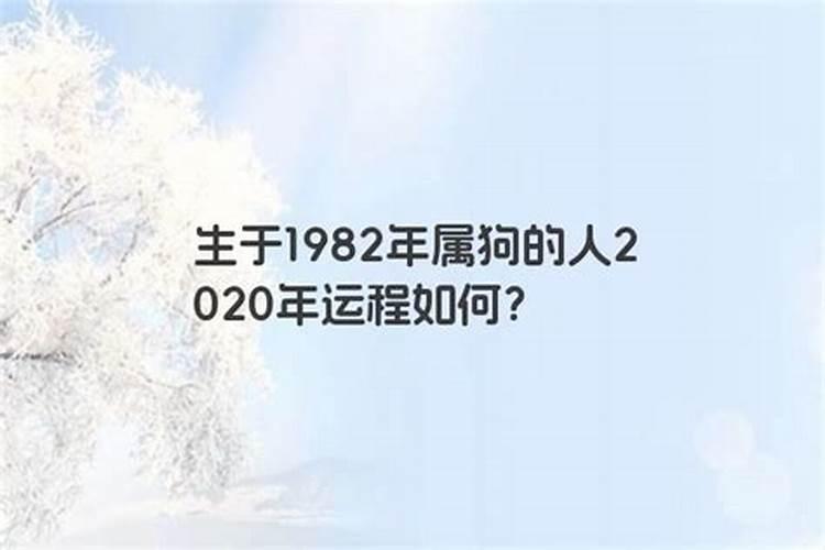 1982年出生的人2020年运势如何