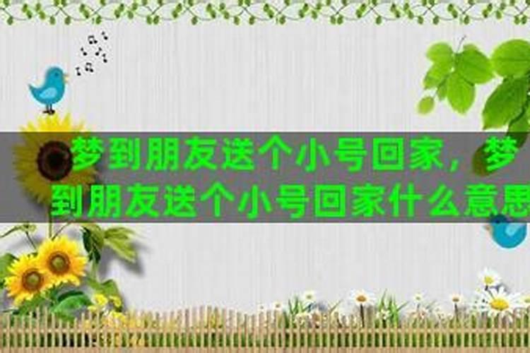 梦见红牛回家什么意思