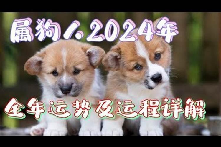 2024年属羊怎么解破太岁