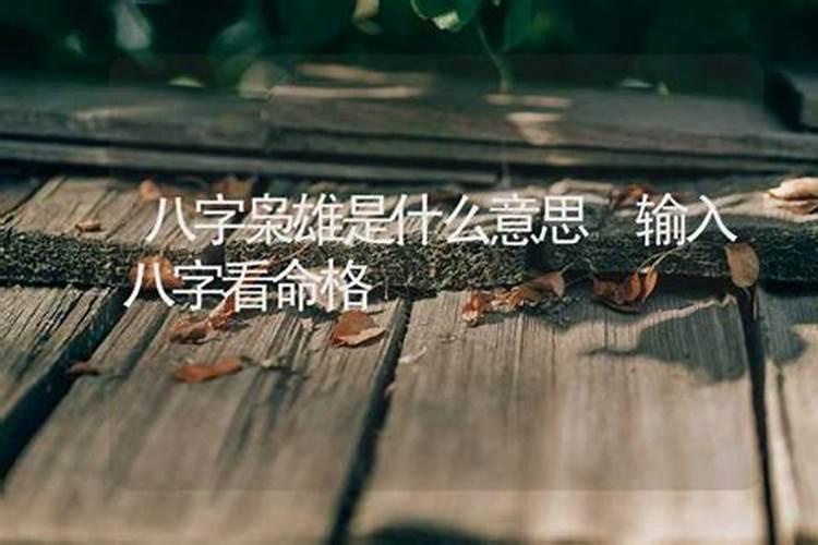 八字预测精髓是什么意思啊