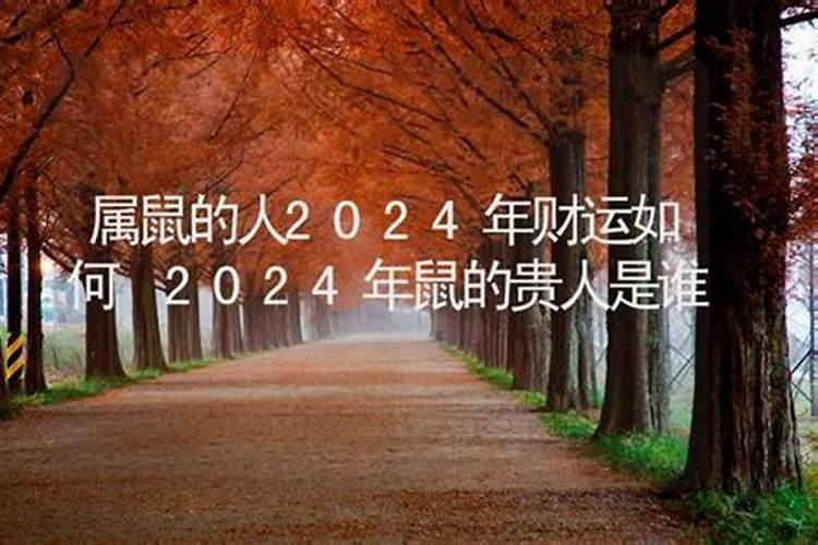 2024年犯太岁是什么意思属龙