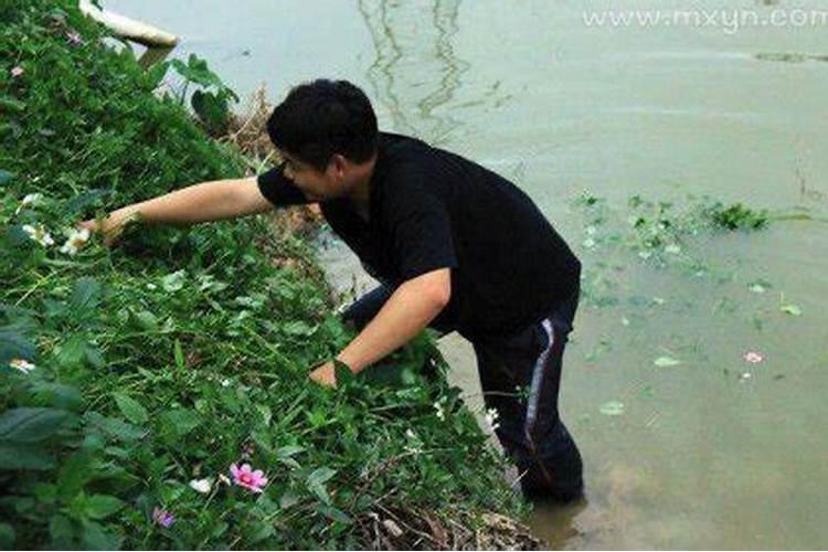 梦见家人在河里玩水