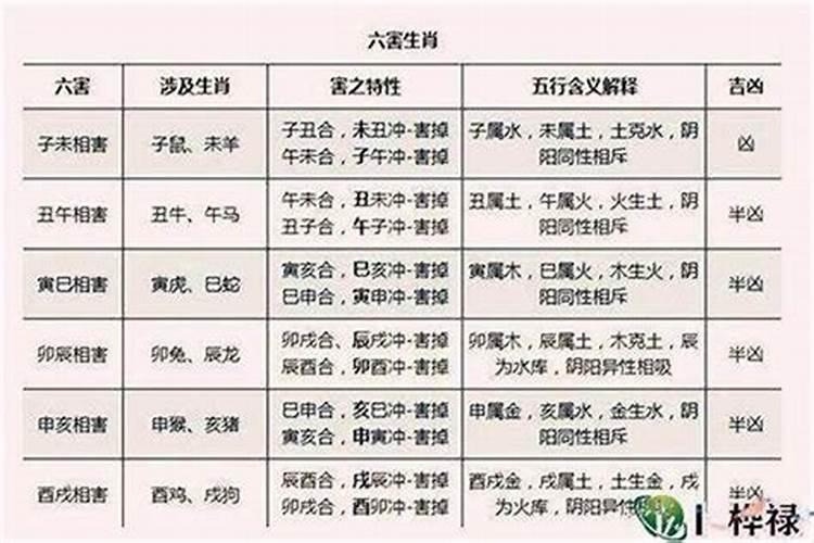 属相八字婚配很重要吗