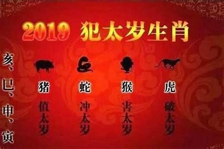 今年哪些属相犯太岁呀