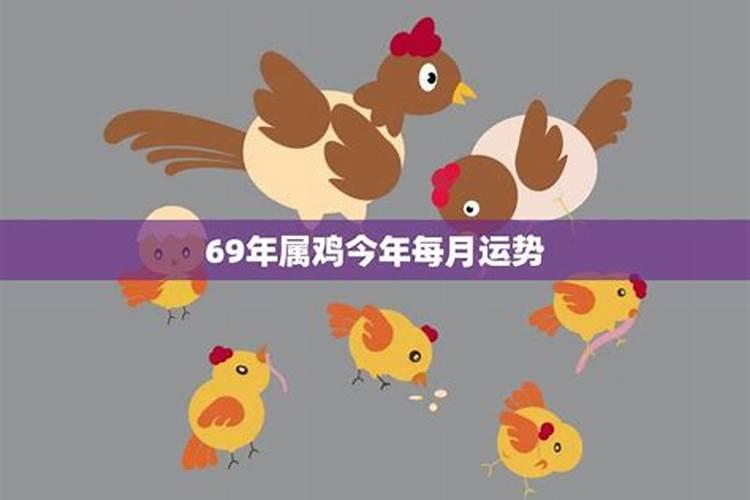 69年属鸡今年运势