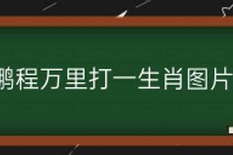 同流不合污的八字