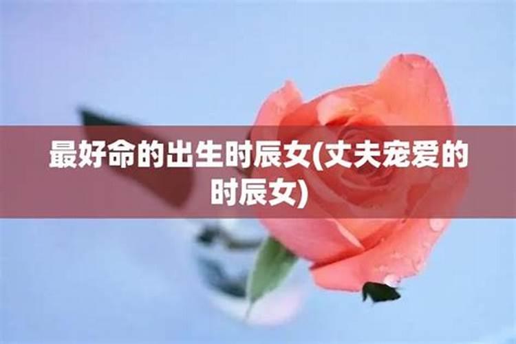 梦见棺材的死人又活了