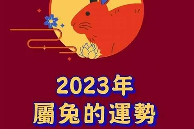 属兔2023犯什么太岁呢