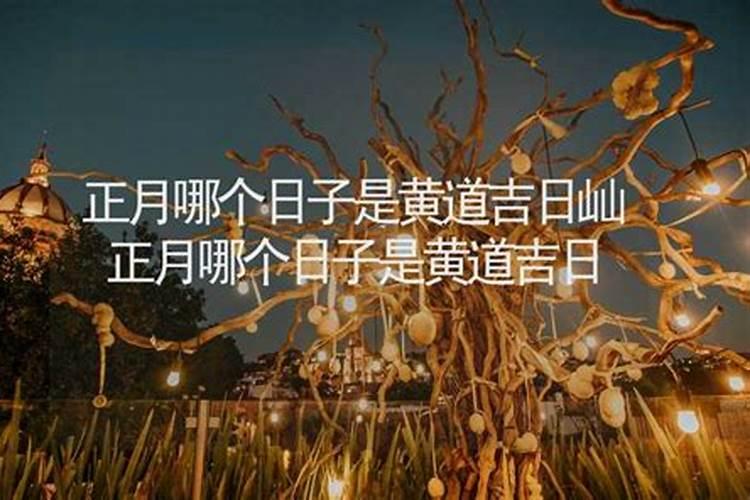 正月初二是哪个节气的