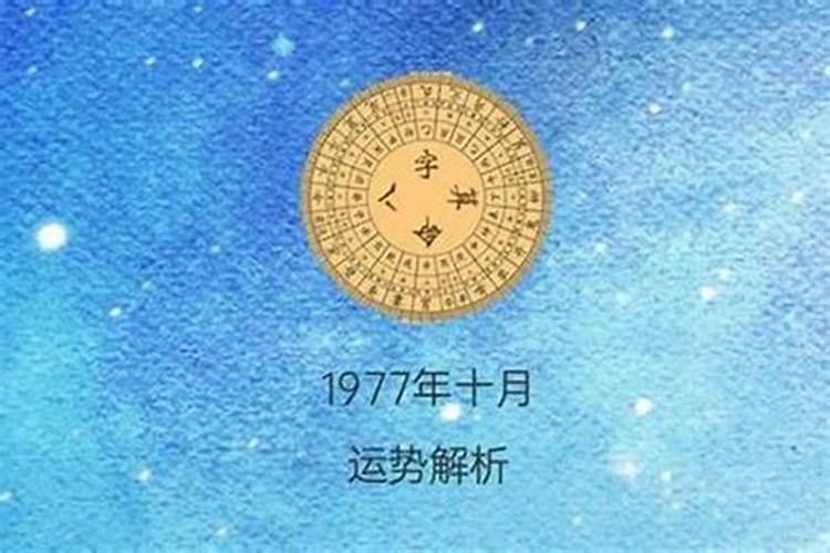 1977年年的运程是什么